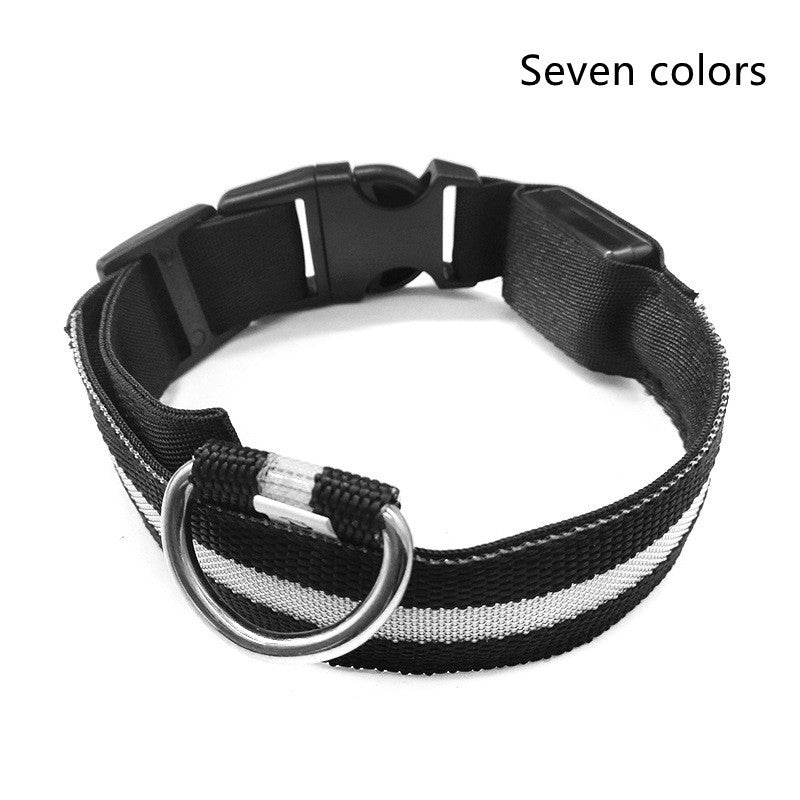 Collier lumineux en nylon pour chien avec LED, sécurité nocturne clignotante, laisse pour chien et chat, accessoires pour animaux ajustables.