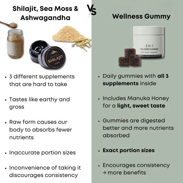 Gommes Shilajit 3 en 1 pour hommes