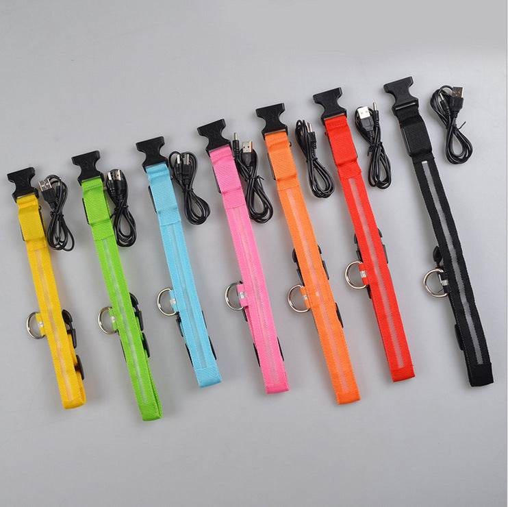 Collier lumineux en nylon pour chien avec LED, sécurité nocturne clignotante, laisse pour chien et chat, accessoires pour animaux ajustables.