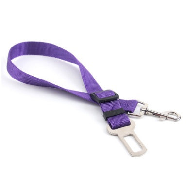 Sangle fixe en polyester pour chien, laisse pour chien.