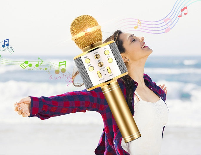 Microphone sans fil portable Bluetooth Mini Home Ktv pour jouer de la musique, chanter, haut-parleur