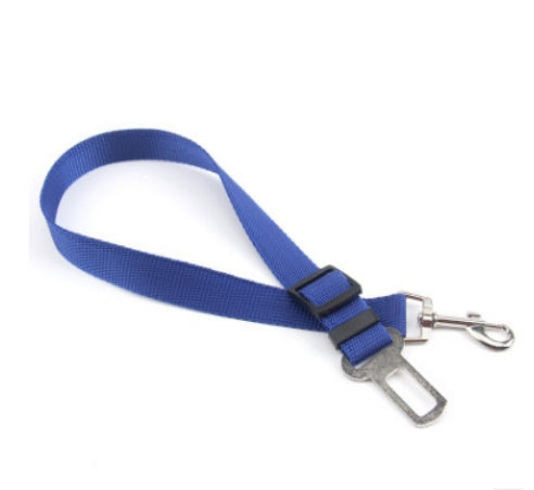 Sangle fixe en polyester pour chien, laisse pour chien.