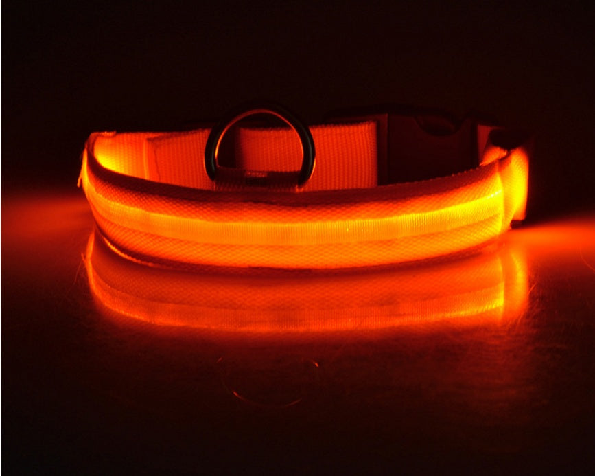 Collier lumineux en nylon pour chien avec LED, sécurité nocturne clignotante, laisse pour chien et chat, accessoires pour animaux ajustables.