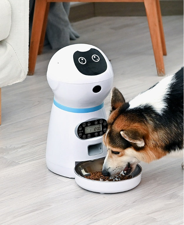 Mangeoire automatique pour animaux de compagnie