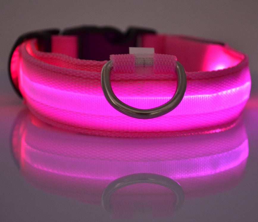 Collier lumineux en nylon pour chien avec LED, sécurité nocturne clignotante, laisse pour chien et chat, accessoires pour animaux ajustables.