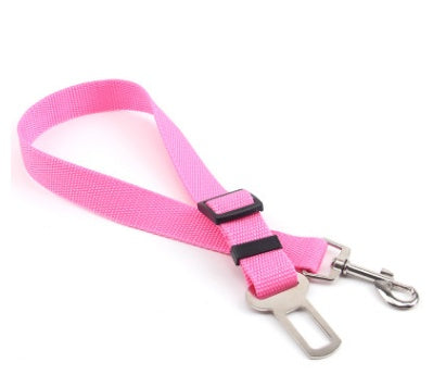 Sangle fixe en polyester pour chien, laisse pour chien.
