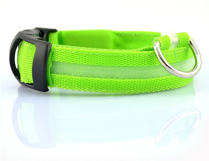 Collier lumineux en nylon pour chien avec LED, sécurité nocturne clignotante, laisse pour chien et chat, accessoires pour animaux ajustables.