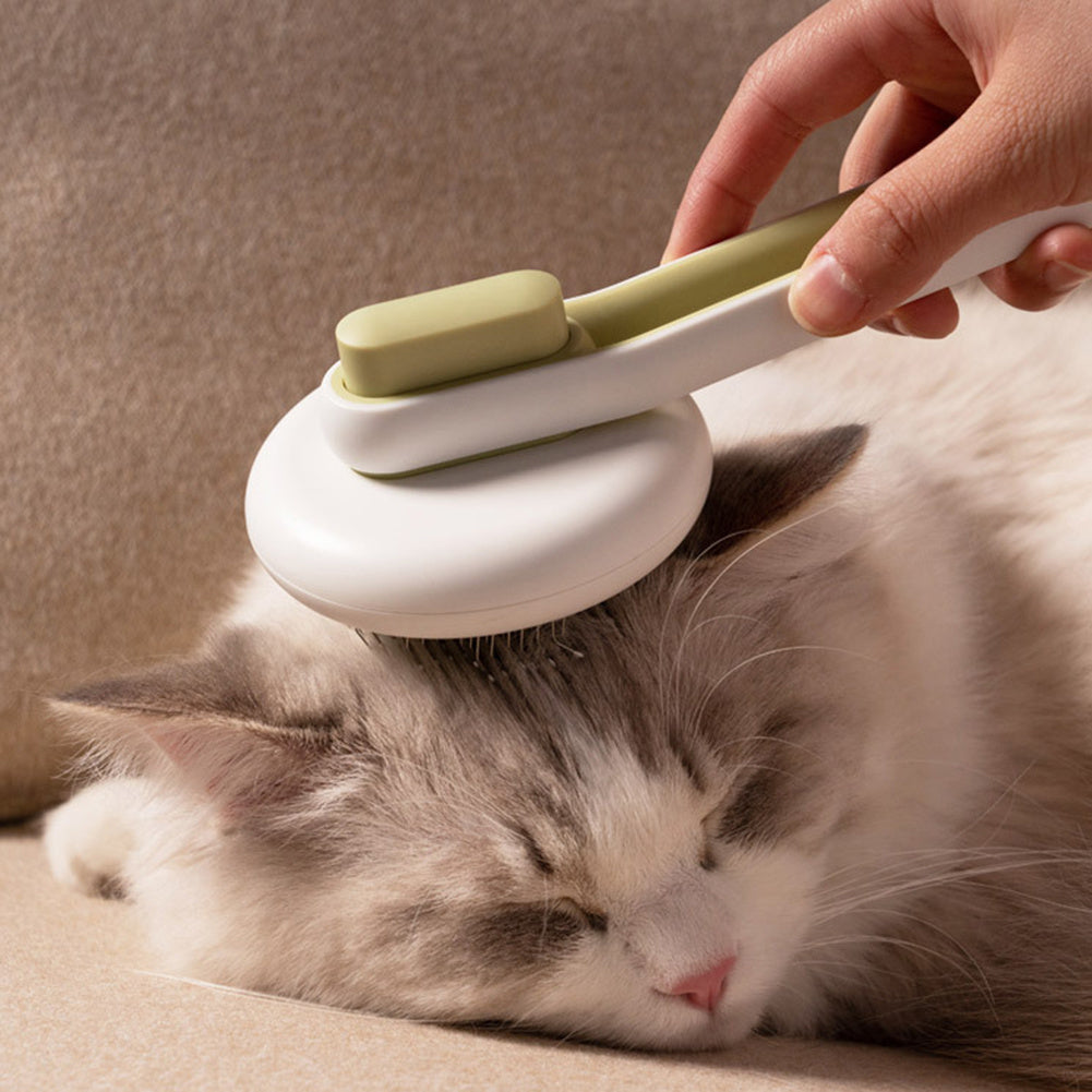 Outil de toilettage pour chien et chat, brosse à poils pour animaux de compagnie, peigne de massage automatique, brosse ronde pour animaux de compagnie.