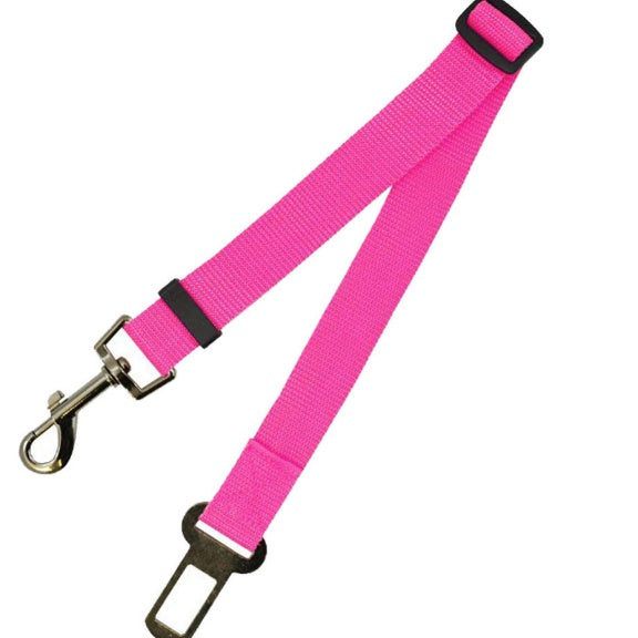 Sangle fixe en polyester pour chien, laisse pour chien.