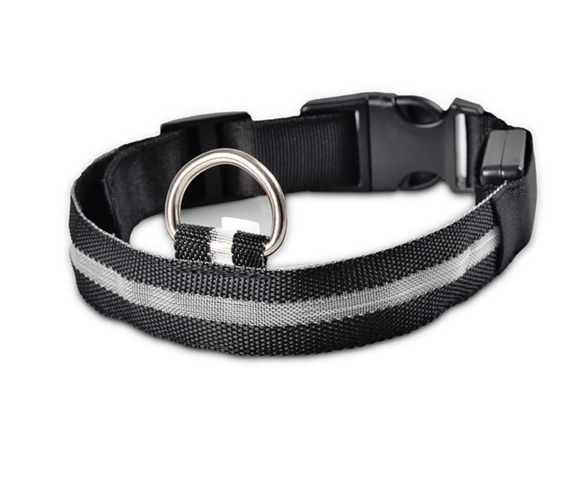 Collier lumineux en nylon pour chien avec LED, sécurité nocturne clignotante, laisse pour chien et chat, accessoires pour animaux ajustables.