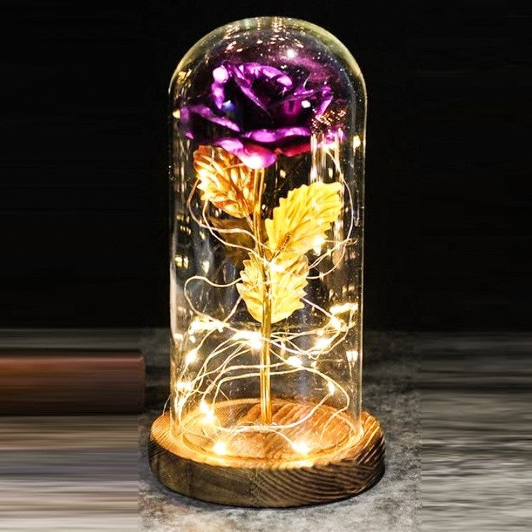 Cadeaux de mariage pour la fête des mères, cadeau de demoiselle d'honneur, rose en simulation immortelle, couvercle en verre lumineux, ornement LED.