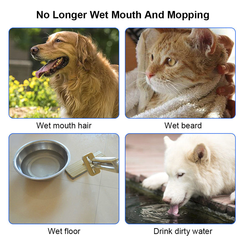1,5 L Bol d'eau pour chat et chien, bol flottant transporté, distributeur d'eau anti-débordement, fontaine pour animaux, fournitures pour chiens en ABS et PP.