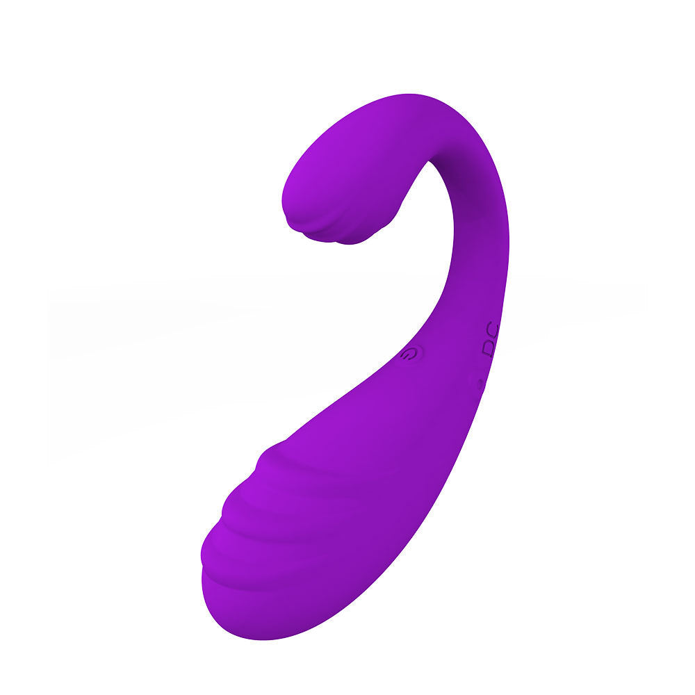 Vibromasseur vaginal à 9 vitesses contrôlé par application, masseur d'œufs vibrants pour point G, stimulateur portable, jouets de massage pour femmes et couples