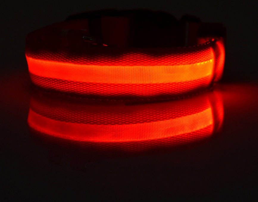 Collier lumineux en nylon pour chien avec LED, sécurité nocturne clignotante, laisse pour chien et chat, accessoires pour animaux ajustables.