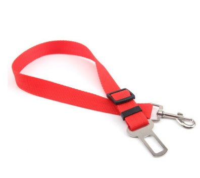 Sangle fixe en polyester pour chien, laisse pour chien.