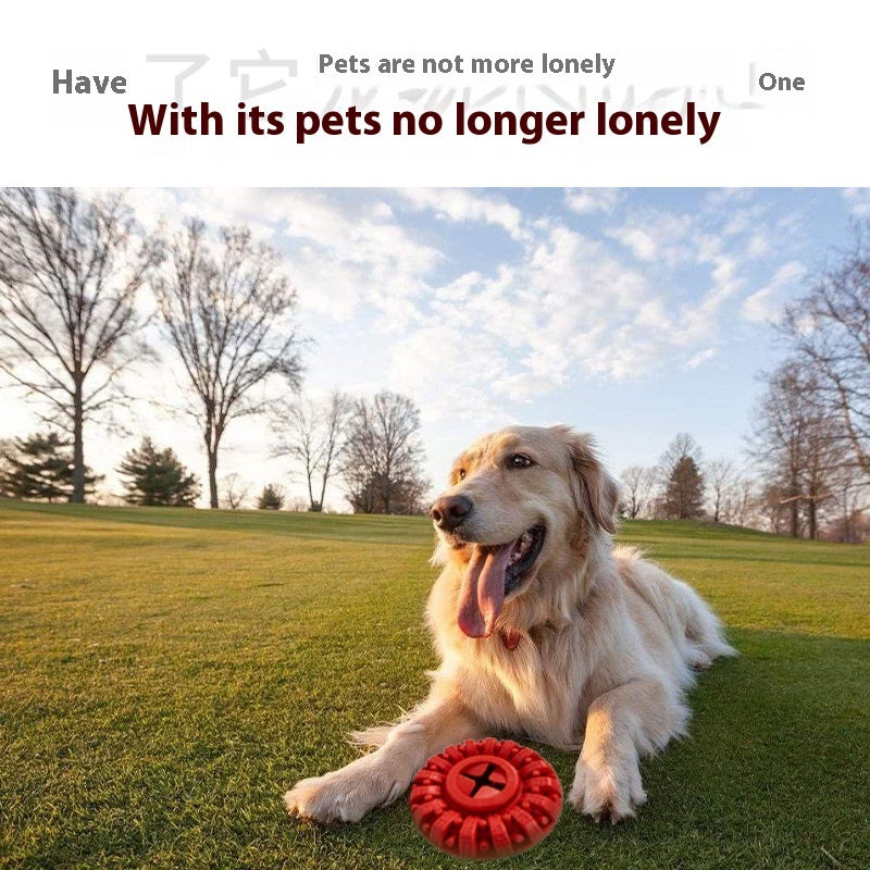 Nourriture pour chien Fuite Pneu Animaux de compagnie Jouet Morsure Pneu Produits pour animaux de compagnie