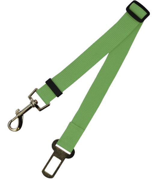 Sangle fixe en polyester pour chien, laisse pour chien.