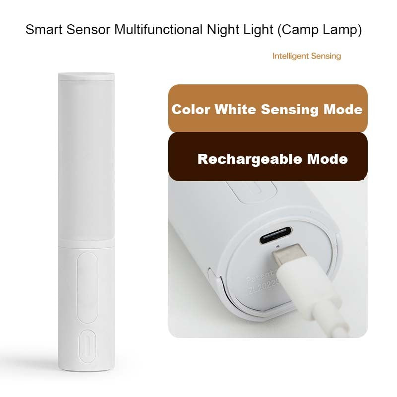 Nouvelle lampe de nuit LED à capteur de mouvement par induction corporelle intelligente pour la maison, le lit, la cuisine, le cabinet, la garde-robe et le mur.