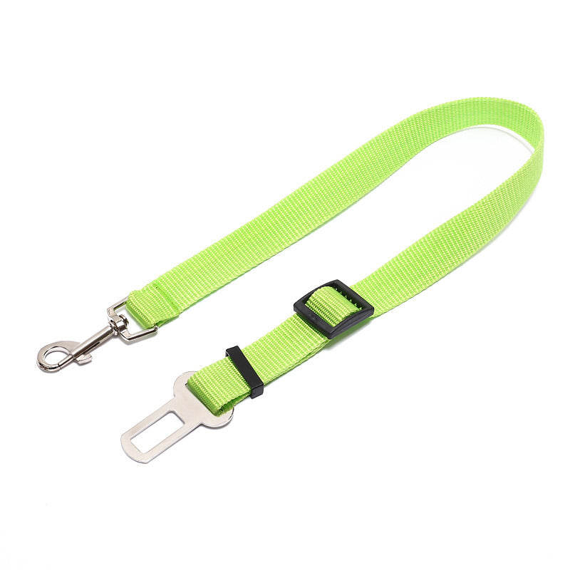Sangle fixe en polyester pour chien, laisse pour chien.