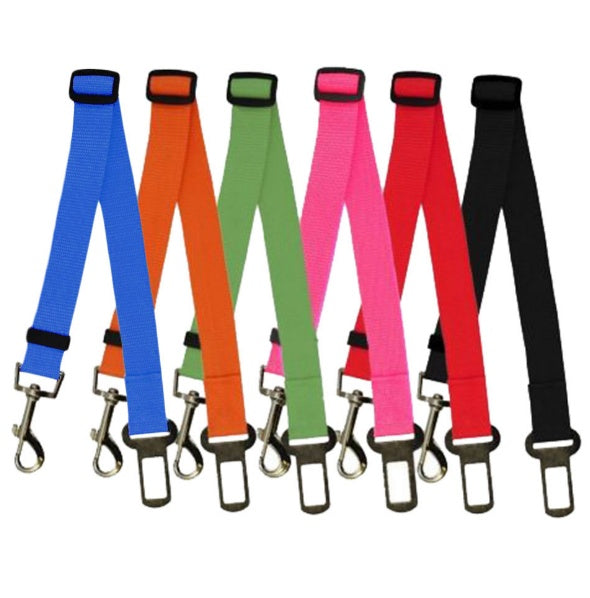Sangle fixe en polyester pour chien, laisse pour chien.