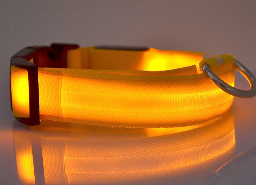 Collier lumineux en nylon pour chien avec LED, sécurité nocturne clignotante, laisse pour chien et chat, accessoires pour animaux ajustables.
