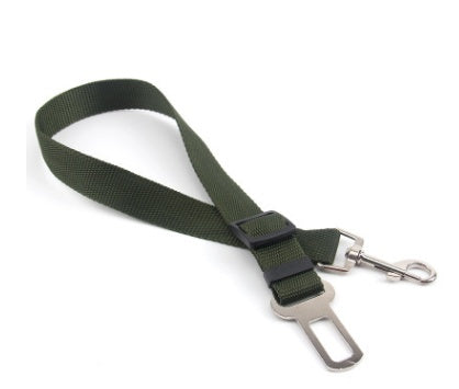 Sangle fixe en polyester pour chien, laisse pour chien.
