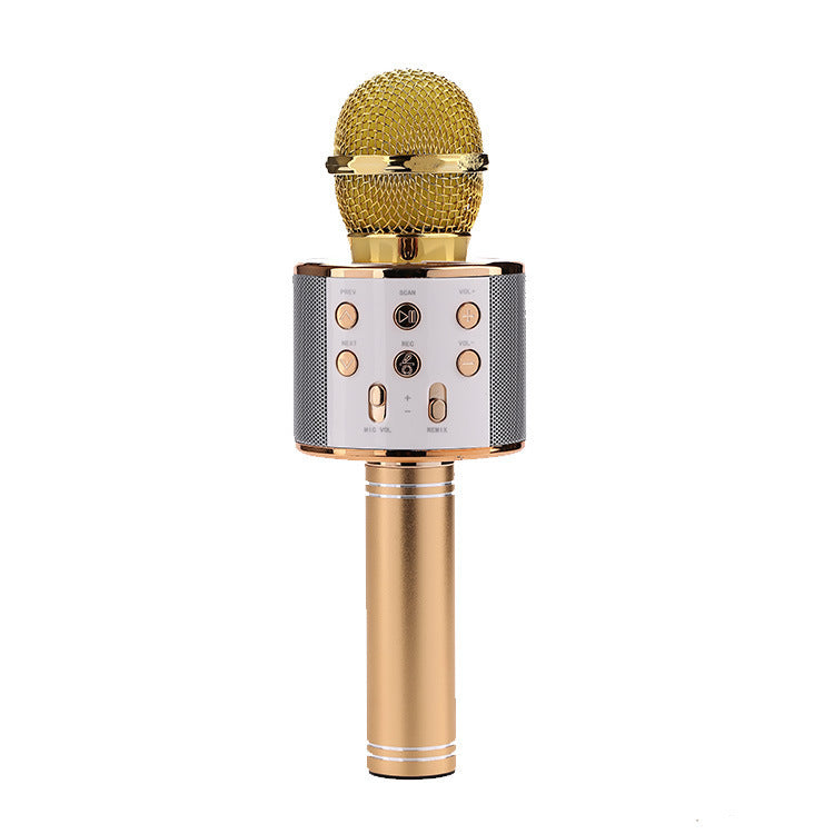 Microphone sans fil portable Bluetooth Mini Home Ktv pour jouer de la musique, chanter, haut-parleur