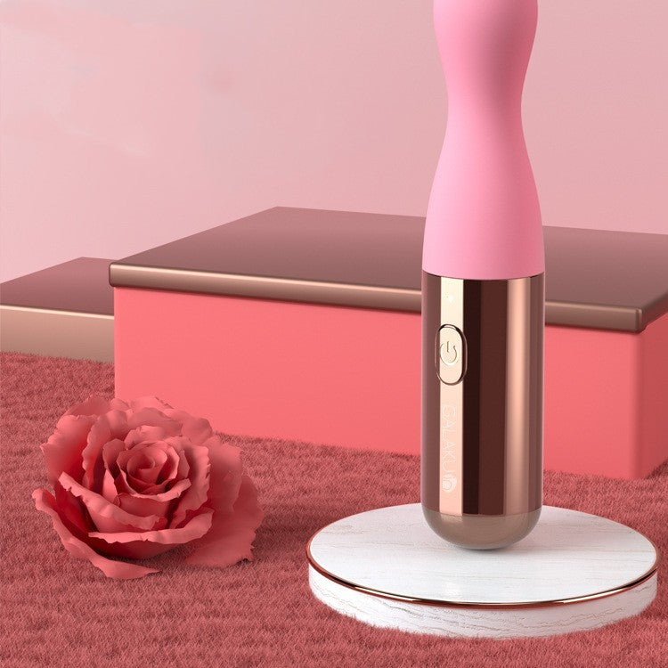 Vibromasseurs anaux pour femmes, jouets sexuels, perles vibrantes en silicone