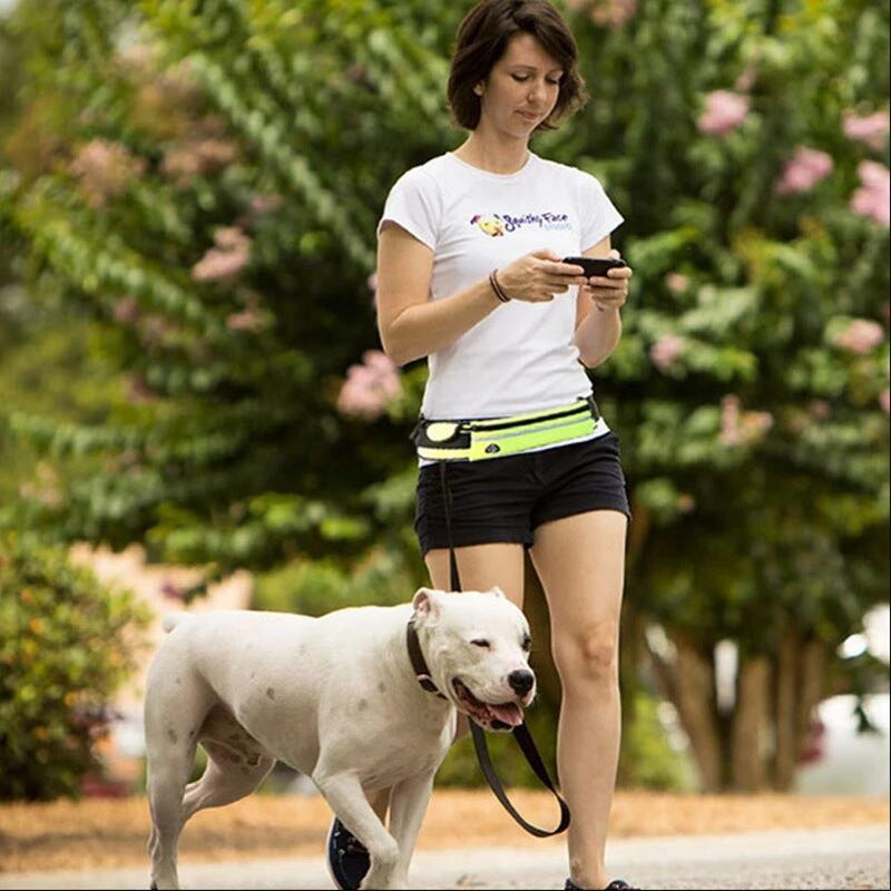 Laisse pour chien mains libres, ceinture de promenade et d'entraînement pour animaux de compagnie avec laisse élastique absorbant les chocs pour chiens de grande taille jusqu'à 180 lbs, poche pour téléphone et support pour bouteille d'eau.