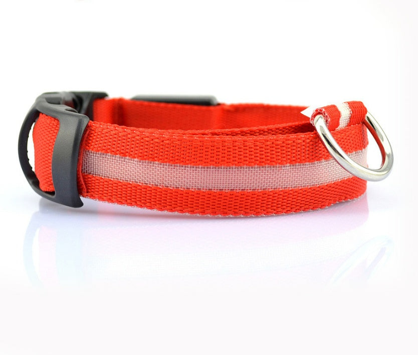 Collier lumineux en nylon pour chien avec LED, sécurité nocturne clignotante, laisse pour chien et chat, accessoires pour animaux ajustables.