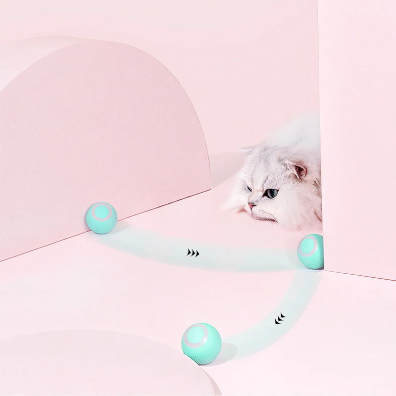 Jouet interactif pour chat avec télécommande, voiture USB rechargeable, poursuite automatique, voiture intelligente à déplacement autonome, jouet interactif pour chat, produits pour animaux de compagnie.