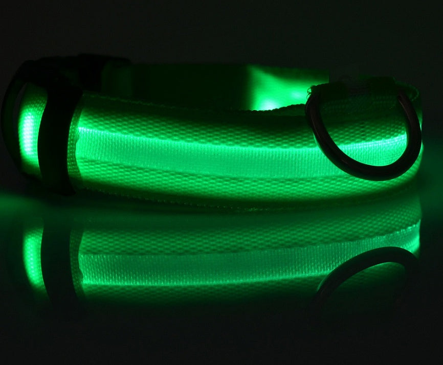 Collier lumineux en nylon pour chien avec LED, sécurité nocturne clignotante, laisse pour chien et chat, accessoires pour animaux ajustables.