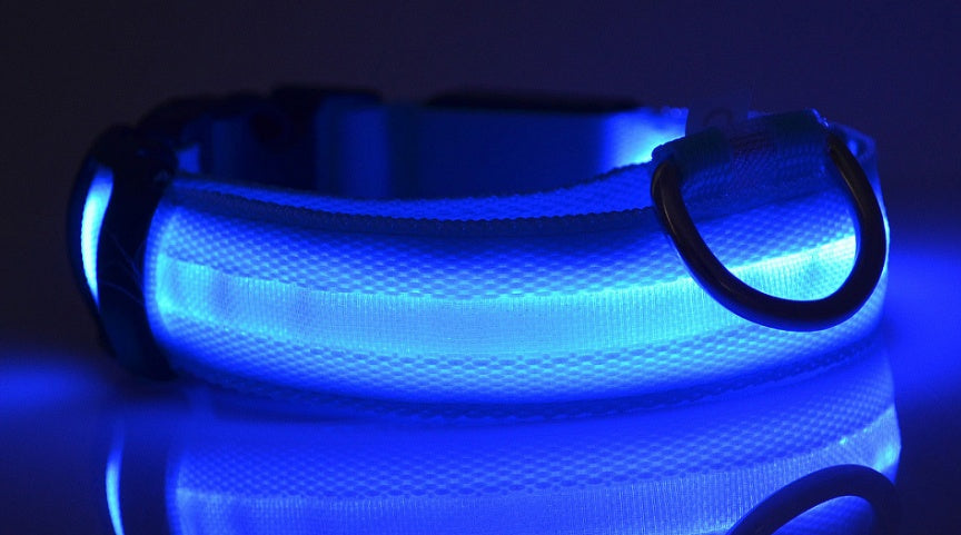 Collier lumineux en nylon pour chien avec LED, sécurité nocturne clignotante, laisse pour chien et chat, accessoires pour animaux ajustables.