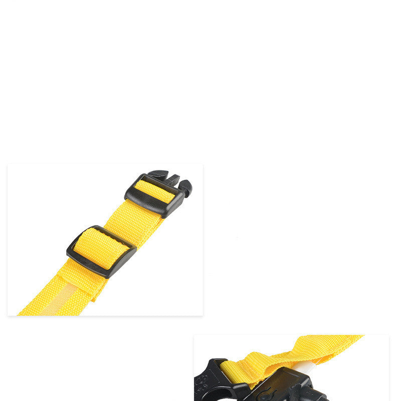 Collier lumineux en nylon pour chien avec LED, sécurité nocturne clignotante, laisse pour chien et chat, accessoires pour animaux ajustables.