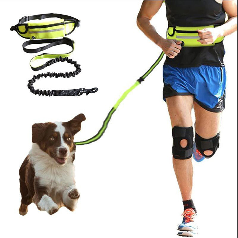 Laisse pour chien mains libres, ceinture de promenade et d'entraînement pour animaux de compagnie avec laisse élastique absorbant les chocs pour chiens de grande taille jusqu'à 180 lbs, poche pour téléphone et support pour bouteille d'eau.