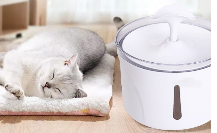 Distributeur d'eau pour animaux intelligent avec filtre circulaire automatique.