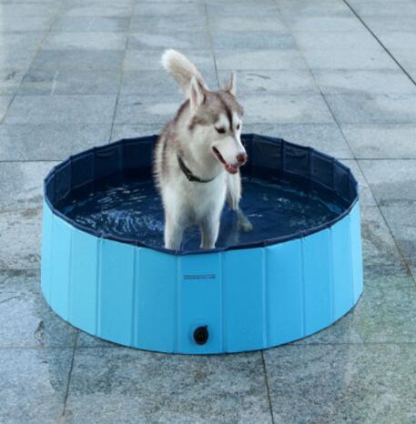 Piscine pour animaux de compagnie, piscine pour chiens, pliable, grands accessoires de bain pour chiens.