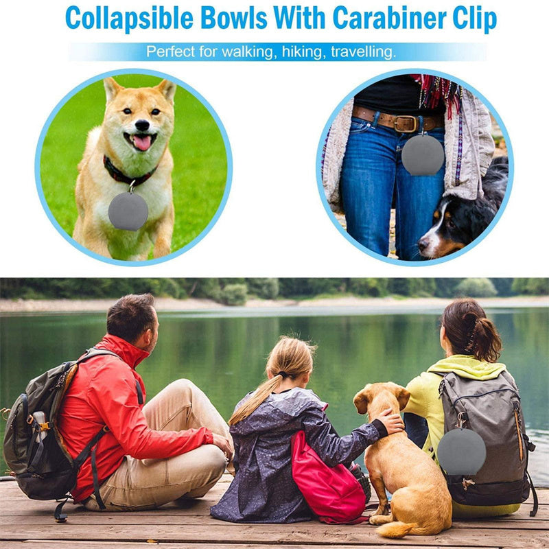 Bol de nourriture pliable en caoutchouc à double compartiment pour animaux de compagnie, fournitures pour animaux, bols pour chiens et chats.