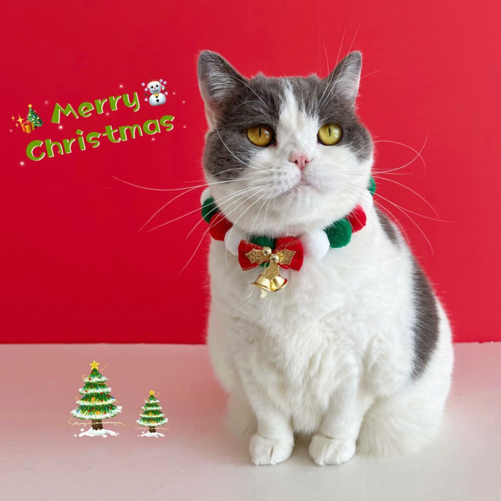 Collier de Noël pour chien avec un pendentif en peluche en forme de balle, col en élastique doux, accessoires pour le cou des animaux de compagnie, collier de Noël pour chien avec nœud.