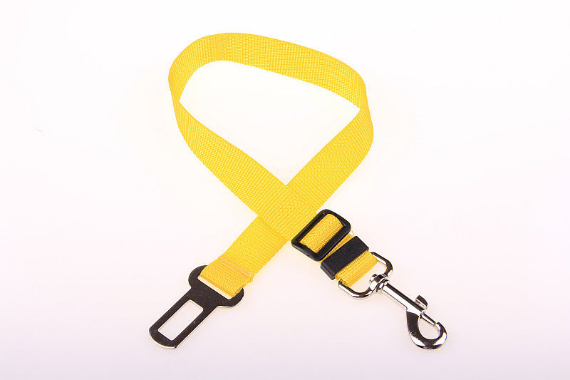 Sangle fixe en polyester pour chien, laisse pour chien.