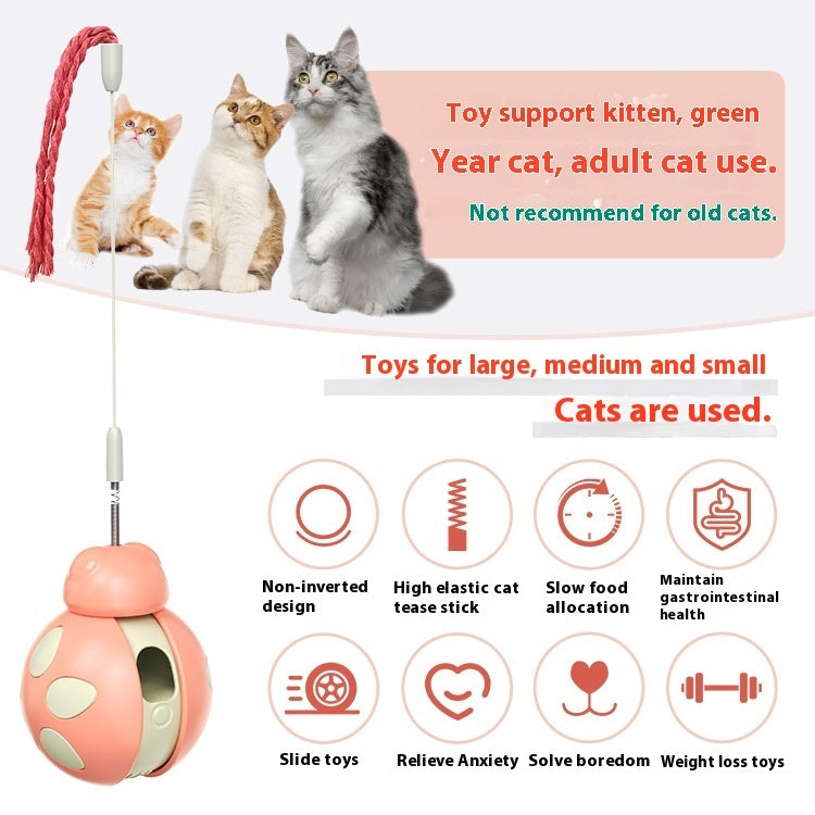 Produits pour animaux de compagnie, jouets pour soulager les fuites de nourriture pour chats encombrés et amusants.