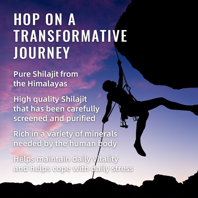 GOMMES SHILAJIT BSYS 60'S