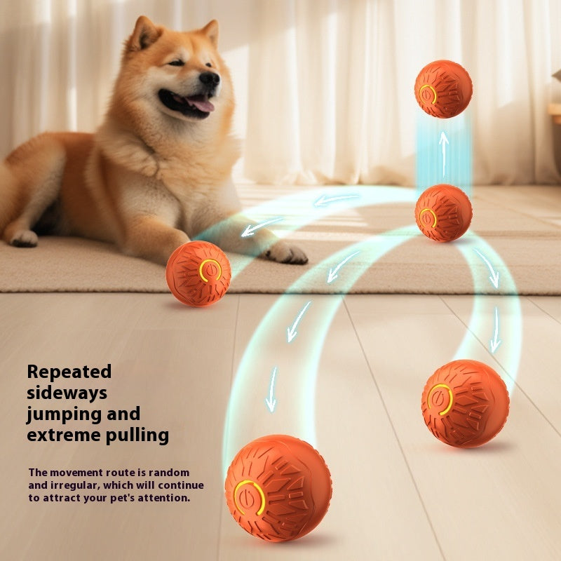Balle électrique sautante automatique pour animaux de compagnie, produits lumineux pour animaux de compagnie, produits de formation pour chiens, jouets en forme de balle pour chiens, résistance.