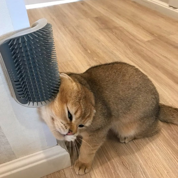 Brosse de toilettage pour chat, dispositif de frottement mural pour animaux de compagnie.