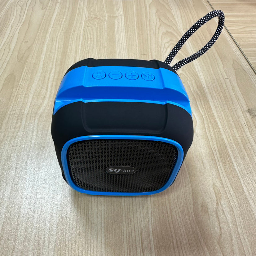 Lumières colorées audio Bluetooth portable sans fil pour extérieur