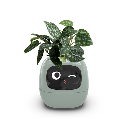 Planificateur Intelligent Amusement Inépuisable Plus de 49 Expressions Riches 7 Capteurs Intelligents et Puces AI Facilitent et Rendent Agréable la Culture des Plantes