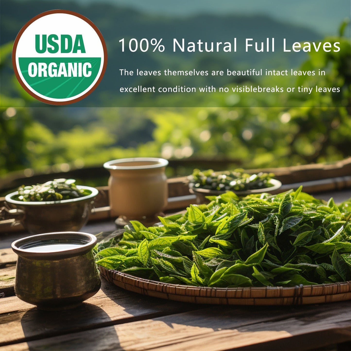 Thé détoxifiant, sachets de thé aux herbes naturelles, feuilles d'oolong pour le nettoyage des poumons, soulagement de la congestion, détox à base de plantes, sans caféine, sans OGM, biologique, pour la santé intestinale et renforcement immunitaire. - KaoKao