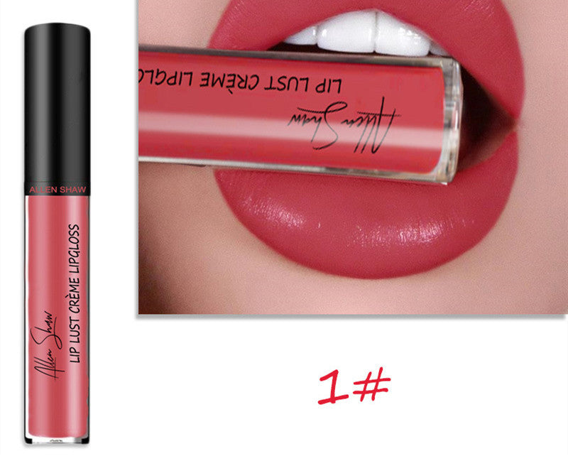 Brillant à lèvres à texture crème soyeuse Aliexpress Shopee Cross-Border Exclusive Lip Glaze Lip Gloss Rouge à lèvres