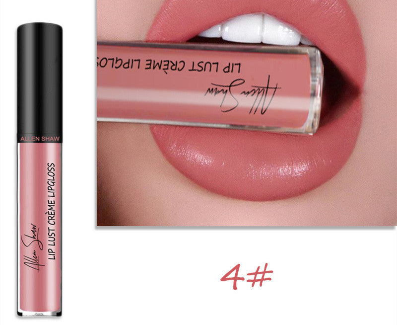 Brillant à lèvres à texture crème soyeuse Aliexpress Shopee Cross-Border Exclusive Lip Glaze Lip Gloss Rouge à lèvres