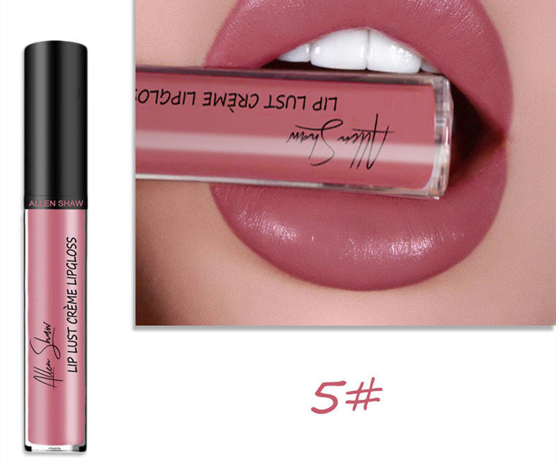 Brillant à lèvres à texture crème soyeuse Aliexpress Shopee Cross-Border Exclusive Lip Glaze Lip Gloss Rouge à lèvres